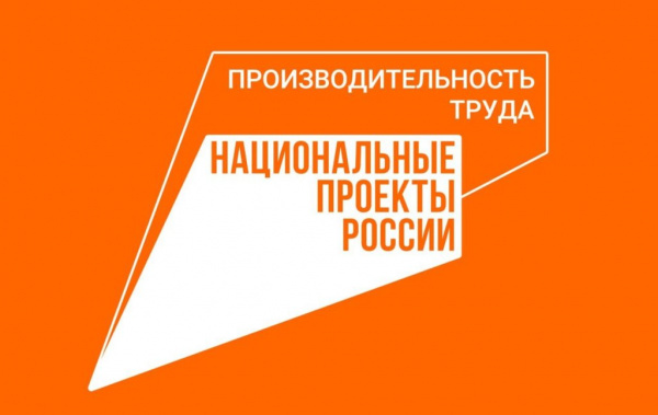 Региональный центр компетенций Пермского края подвел итоги работы за первый квартал года