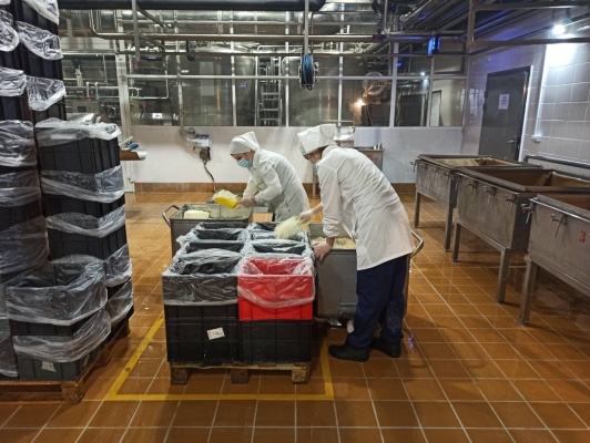 Крупное молокоперерабатывающее предприятие Прикамья производит  на треть больше творога